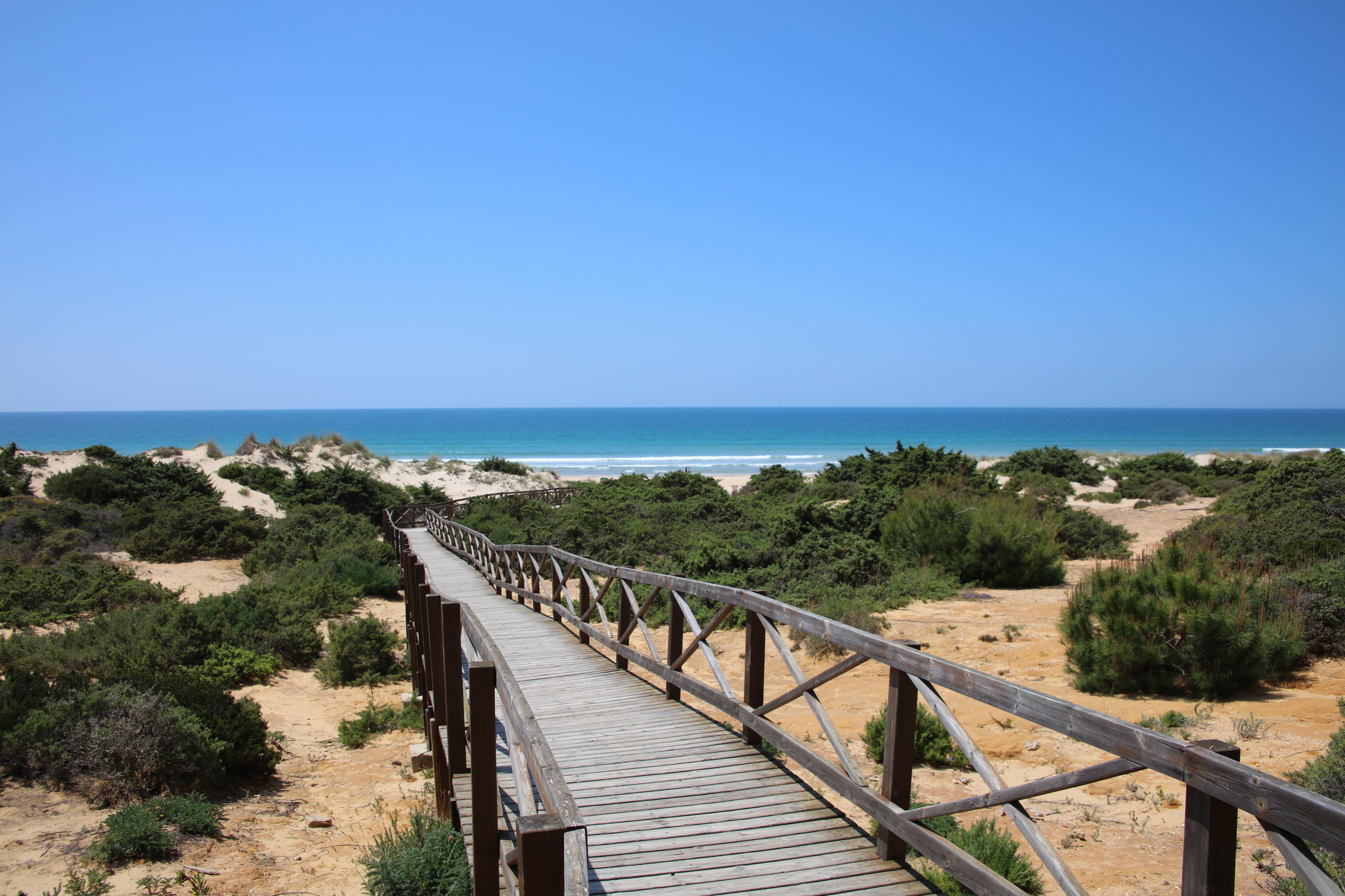 ホテル イベロスター セレクション アンダルシア プラヤ チクラナ・デ・ラ・フロンテーラ エクステリア 写真 The dunes of the beach of Sabinillas